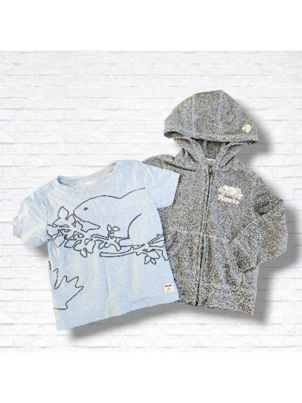 Roots Kids 3T Unisex Grey Hoodie & Blue Tee Shirt 2-Piece Set